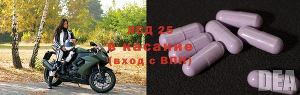 крисы Нея